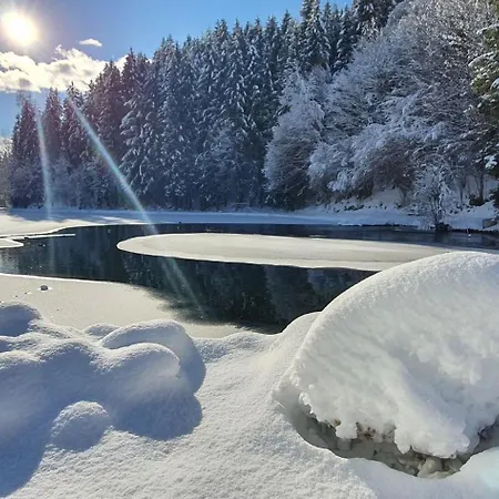Bad Neunbrunnen Am Waldsee - Non Halal Hotel *
