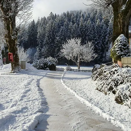 Hotel Bad Neunbrunnen Am Waldsee Maishofen