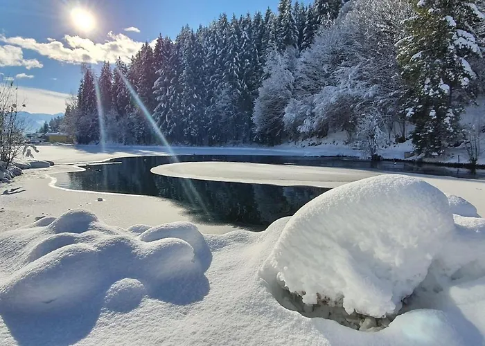 Bad Neunbrunnen Am Waldsee 酒店 *