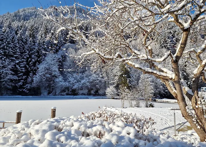 酒店 Bad Neunbrunnen Am Waldsee 麦舒芬